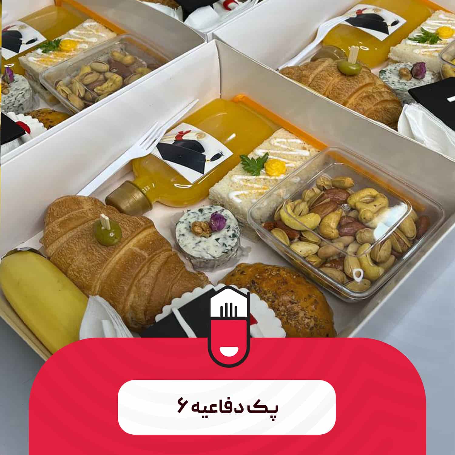 پک دفاعیه ۶